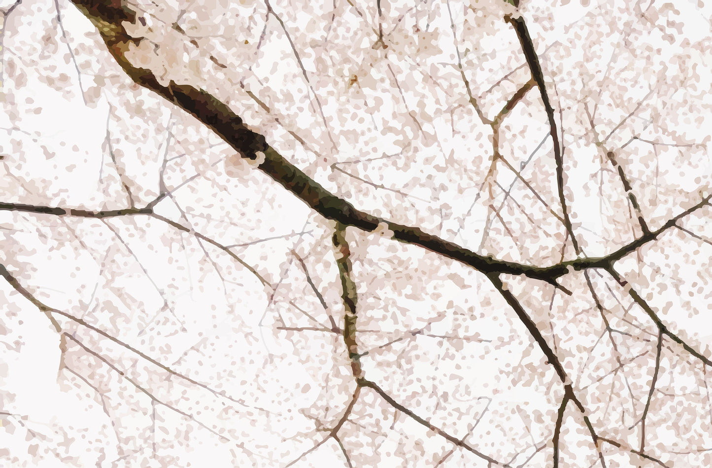 Cherry blossom mural*